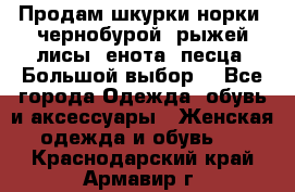 Продам шкурки норки, чернобурой, рыжей лисы, енота, песца. Большой выбор. - Все города Одежда, обувь и аксессуары » Женская одежда и обувь   . Краснодарский край,Армавир г.